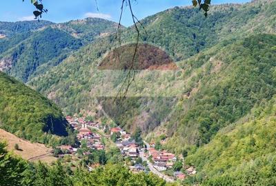Cabană de vânzare în satul Plopi, Valea Ierii, județul Cluj - 3