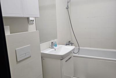 Apartament de inchiriat 2 camere Centru-Palas - 4