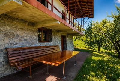 Casă individuală cu 7 camere în Valea Doftanei