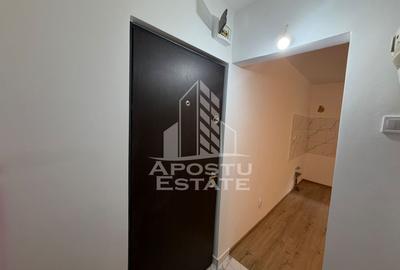 Garsoniera de vanzare , Zona Lipovei , Timisoara - 4