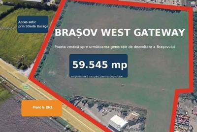 Teren Construcții intravilan de 59545 mp, în 13 Decembrie