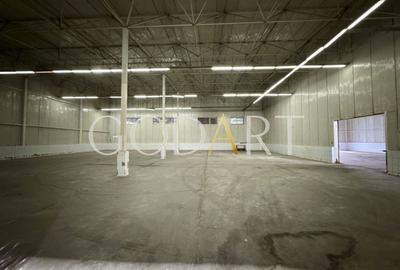 Hală industrială de închiriat | Acces TIR - 6