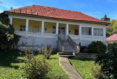 Casa cu proiect pentru pensiune Baile Olanesti - 1