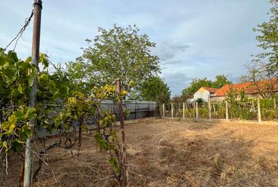 Vindem casa 3 camere, teren 521 mp, Oradea Oncea 99.000 Comision 0% - 18