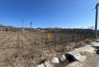 Teren intravilan 2700 mp, deschidere 41 ml, Movilita – Vrancea - 2