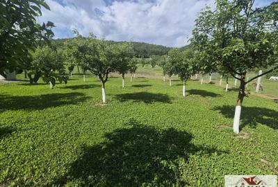 Teren intravilan (2292mp) de vanzare in Vintu de Jos - 8