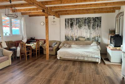 Cabană de vânzare, Muntele Rece, teren 4000mp - 9