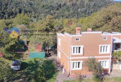 CASǍ cu teren 6329 mp - ALEXANDRU cel BUN - 4