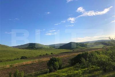 Teren Construcții intravilan de 1000 mp, în Pata