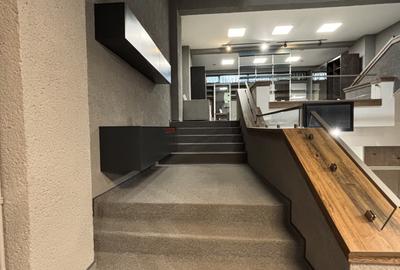 Spatiu comercial ultra central - 10