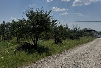Teren intravilan parcelabil de vanzare – Cocosesti, comuna Paulesti  Va oferim - 4