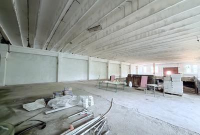Hale din beton cu suprafata mare zona Cornisa - 1