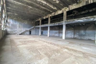 Hale industriale, 30000 mp, teren 65000 mp, zona Podari - 10