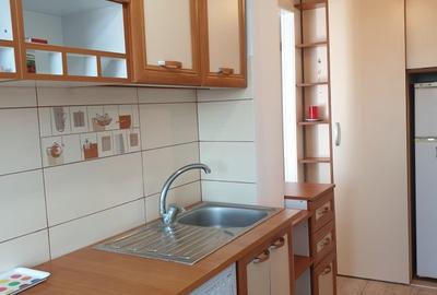 Apartament 2 camere Clucerului / Herastrau - 7
