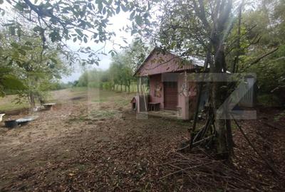 Teren Construcții extravilan de 5000 mp, în Beclean