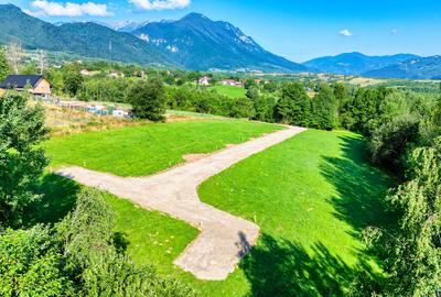 Teren intravilan zona Bran-Tohanita,langa padure intre 500 si 1000 m - 14