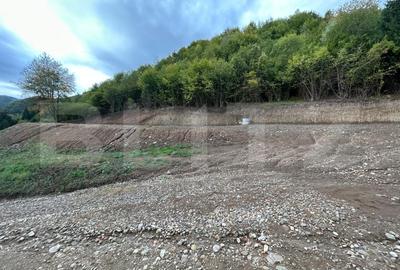 Teren Construcții intravilan de 12000 mp, în Nord-Vest