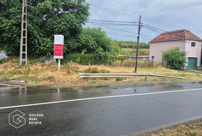 Teren Construcții intravilan de 6000 mp, în Ghioroc