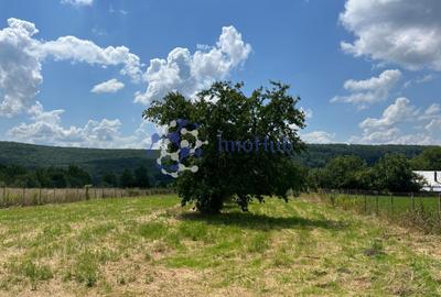 Teren de vânzare 2.531 mp Centrul satului Poieni, Priveliste spre padure - 2