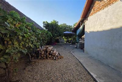 Casa Pustinis 2 camere - 5