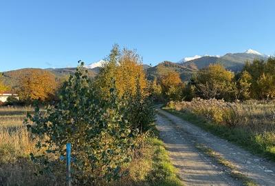 Teren intravilan de 5200 mp, în Viștea
