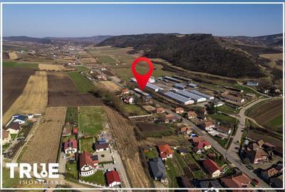 Hală de producție și depozitare - Voiniceni, Mureș - 3