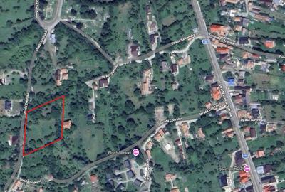 Teren superb Valea Doftanei (Teșila) – vedere panoramică, toate utilitățile - 6