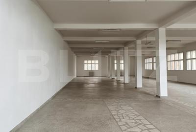 Spațiu comercial, de 300.00 mp, în Aiud
