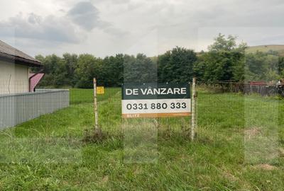Teren agricol intravilan de 2586 mp, în Șendriceni