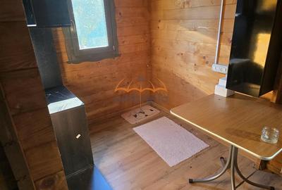 Teren si cabana de vanzare 1200m² in FINCIU - CALATELE - 10