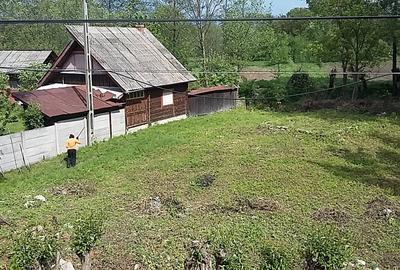 Teren intravilan - Moară Veche Țara Hațegului - 5