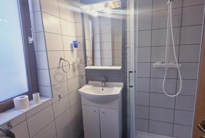 Inchiriez casa Bunloc Sacele-Timisul de Jos cuacces auto pet friendly - 25