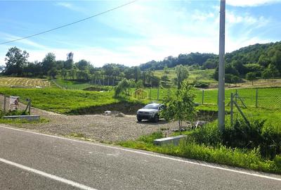 VIDEO | Teren 5.194 m² | 181 metri front la strada Principala (DJ 182C) | Servic - 8