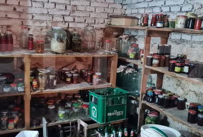 Oportunitate! Casa Bod pe un singur nivel, teren 980 mp pivnita, garaj ,mobilata - 16
