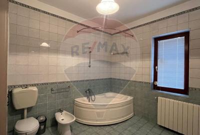 Apartament / Birou, 4 camere, Floreasca - Dorobanti, 163 mp + curte - 21