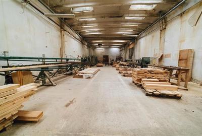 Complex industrial adecvat pentru productie (Gheorgheni,  str. Kossuth Lajos) - 21