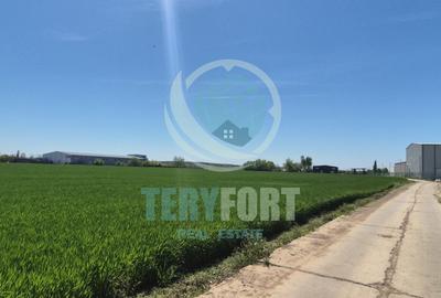 Teren intravilan- hale depozitare, industrie , servicii, comert- A 0 -  Afumați - 9