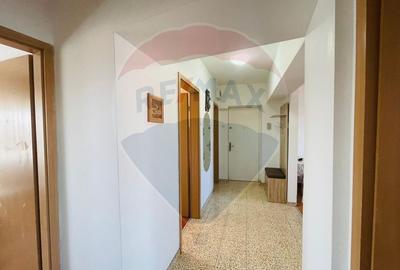 Apartament cu 3 camere de închiriat în zona Turnisor - 10