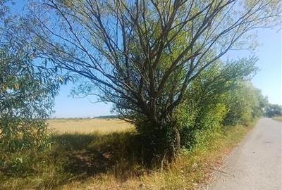 Teren intravilan de vanzare zona Magura Cisnadie - 3