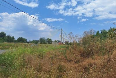 TEREN INTRAVILAN 1500 MP-STRADAL-MIRASLAU-ECHINOCTIULUI - 8