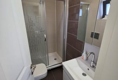 Apartament elegant 3 camere de inchiriat Pacurari - 10