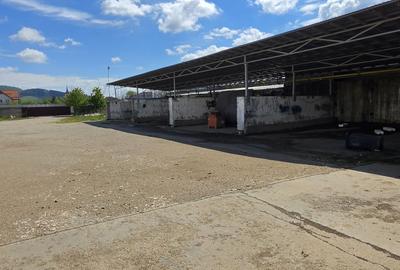 Hală industrială  productie/depozitare Sânpetru, 450 mp, curent 200kw - 16