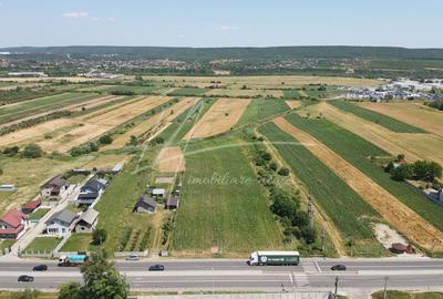 Teren cu potențial de dezvoltare –7427 mp în Argeșelu, Mărăcineni, județul Arges - 6