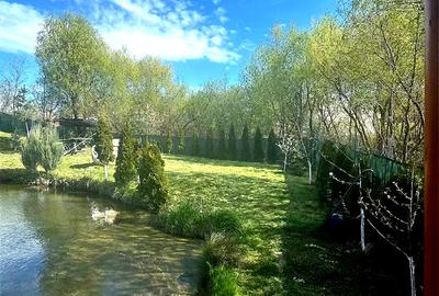 Teren de 6000mp, iaz cu peste, livada de nuci - Ilisesti - 30 km de Suceava - 9
