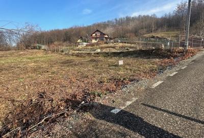 TAUTII MAGHERAUS strada 74 teren intravilan de aprox 36ari ! - 4