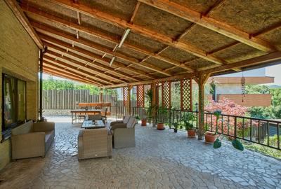 Reprezentare exclusivă · Casa dintre magnolii, Făget · 1.343 mp lângă pădure - 24