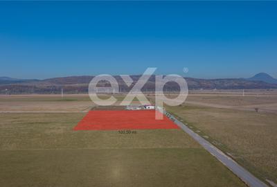 Teren agricol extravilan de 11600 mp, în Râșnov