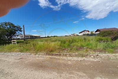 Vanzare Teren Intravilan Bradu,jud Arges - 5