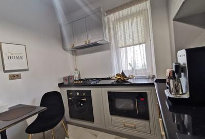 Apartament 3 camere premium de închiriat , Decebal / Matei Basarab superb - 12