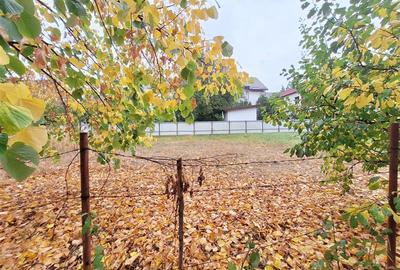 Teren 900 mp intravilan, zona Gradina cu Magnolii - 8
